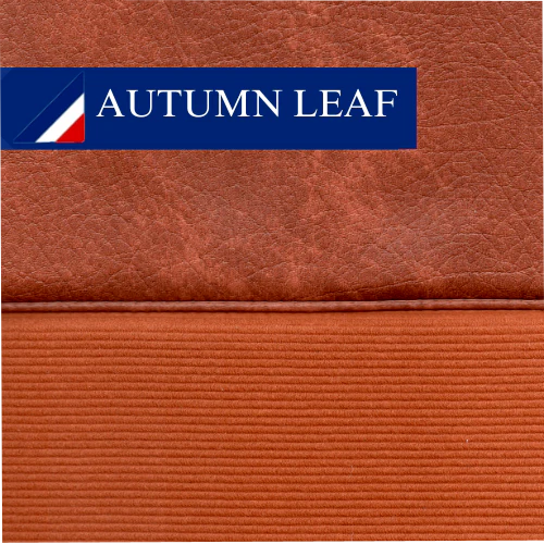 AUTMN LEAF